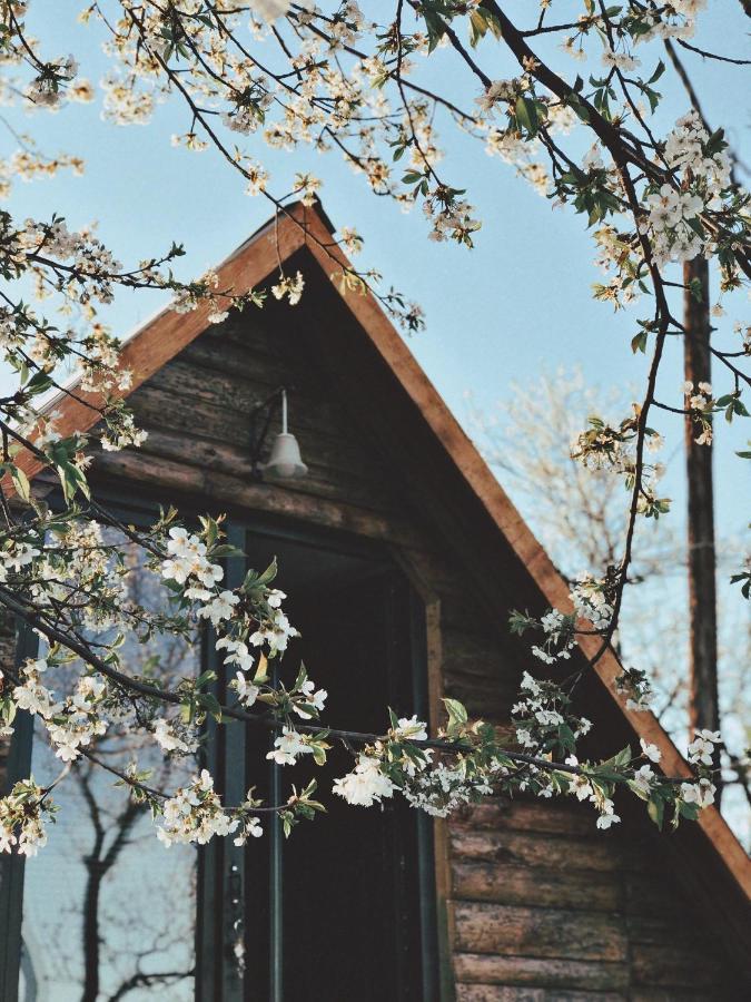 Visoko Gorani Cottage Exterior foto
